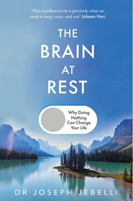 The Brain at Rest; Why doing nothing can change your life