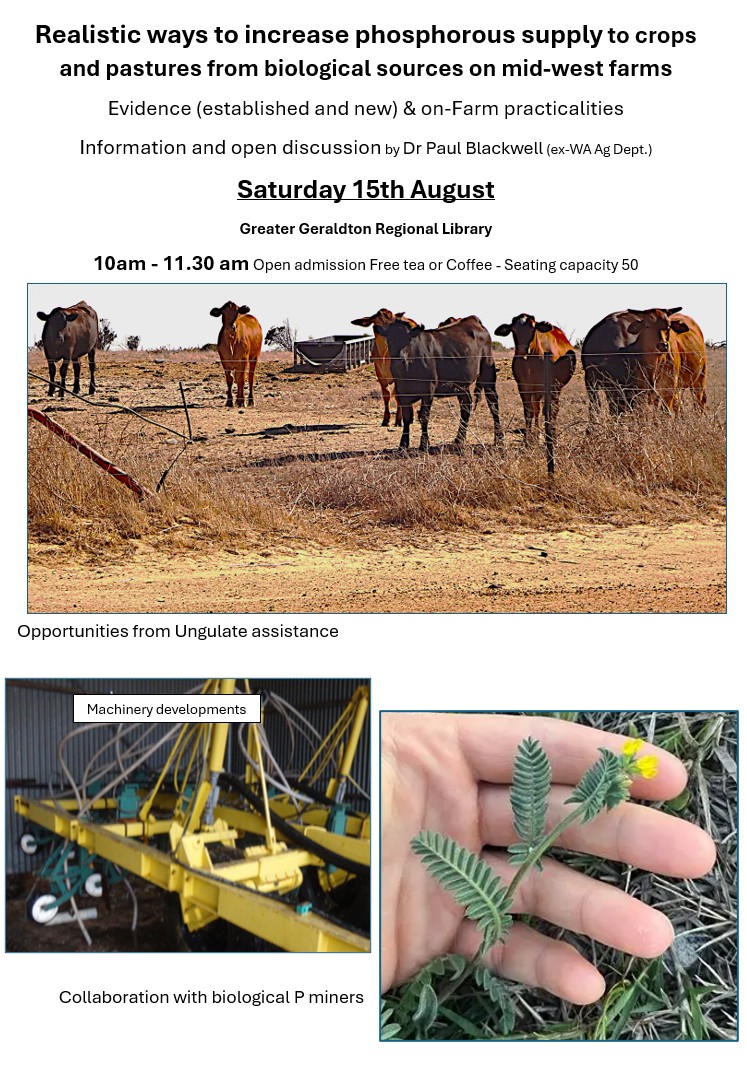 Realistic ways to increase phosphorous supply to crops and pastures from