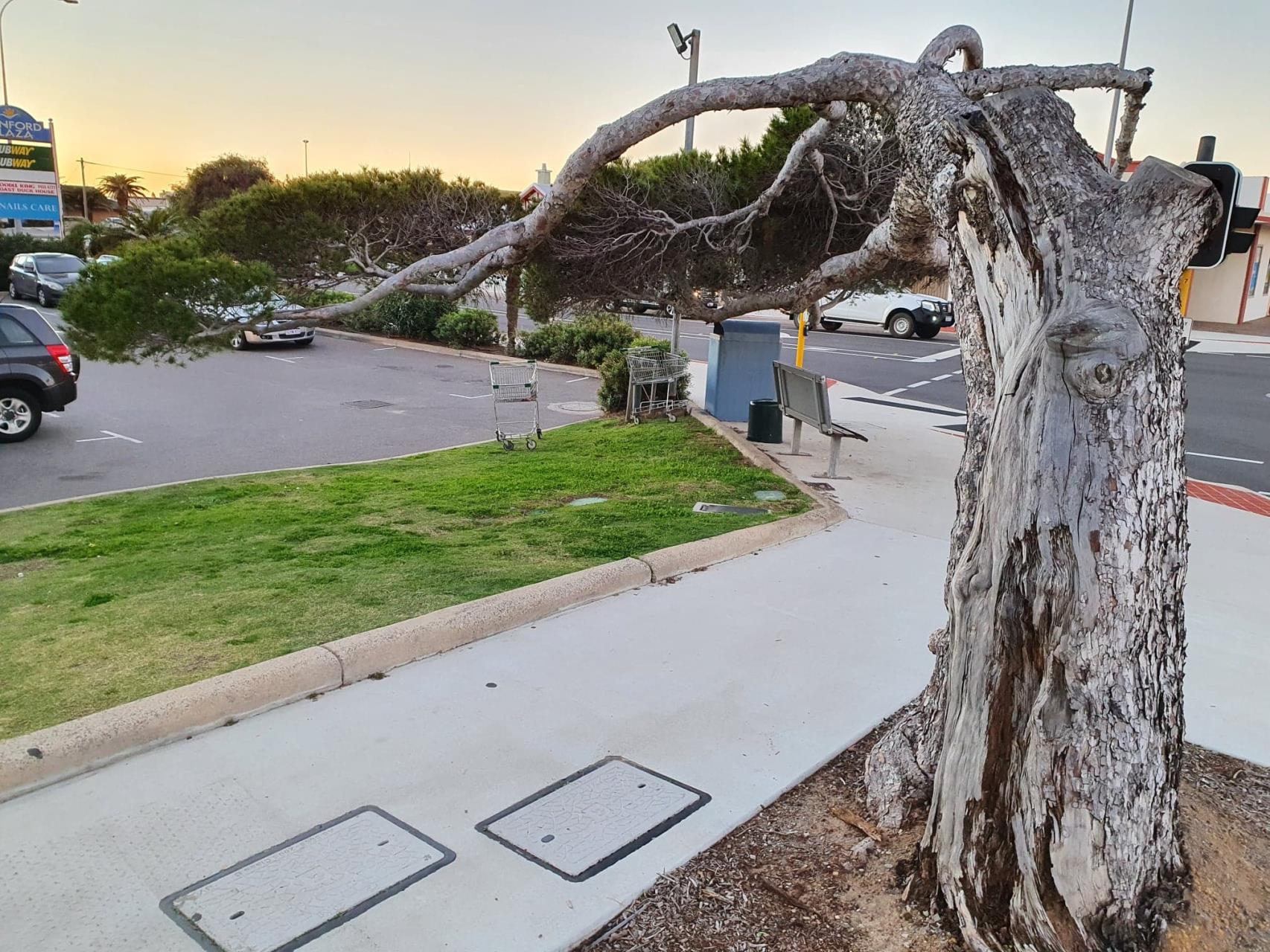 Snapshot - Lone Pine